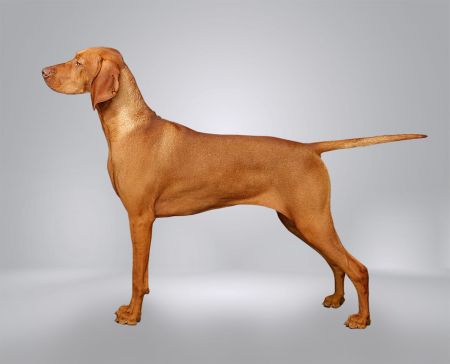 Image of Metropolis Beaucoup Beaucoup (AI)