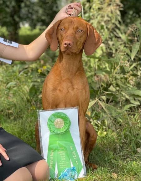 Image of Berkcor's All That And A Bag Of Chips