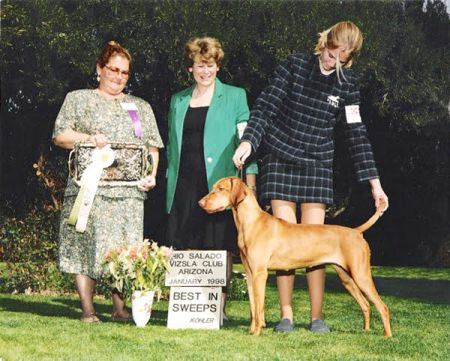 Image of Mehagian's Havana Sunset