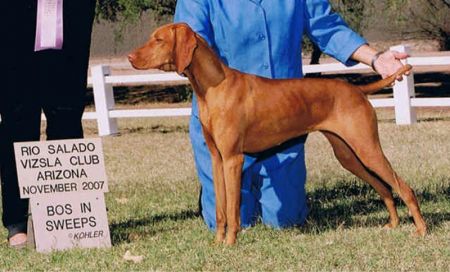 Image of Mehagian's Kiva's Sunrise