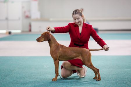 Image of Verona Danitty