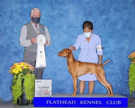 Image of Hrq Red Diamond Ever Ready