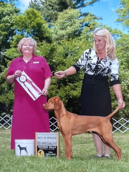 Image of Deerrun's Photo Finish