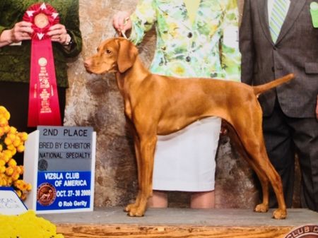 Image of Deerrun's Storyteller