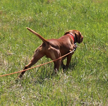 Image of Solaris J&J's Doctors'N Lawyers'N Such