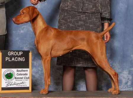 Image of Sincerus Magnificent Obsession of Latierra