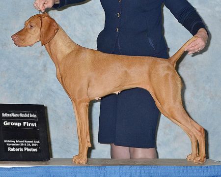 Image of Sokoldalu's Tokeletes Anya