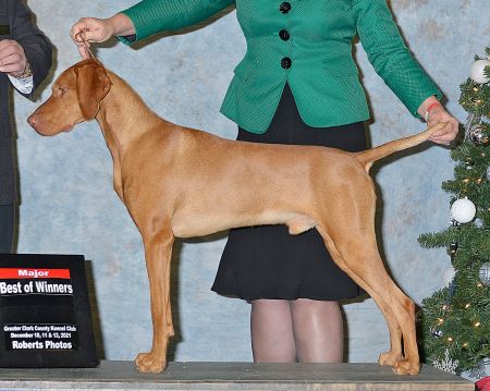Image of Arailek-Sokoldalu's Mardi Gras Pilot