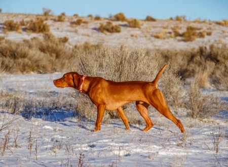 Image of Alpine River's Beginning Of A Beautiful Friendship