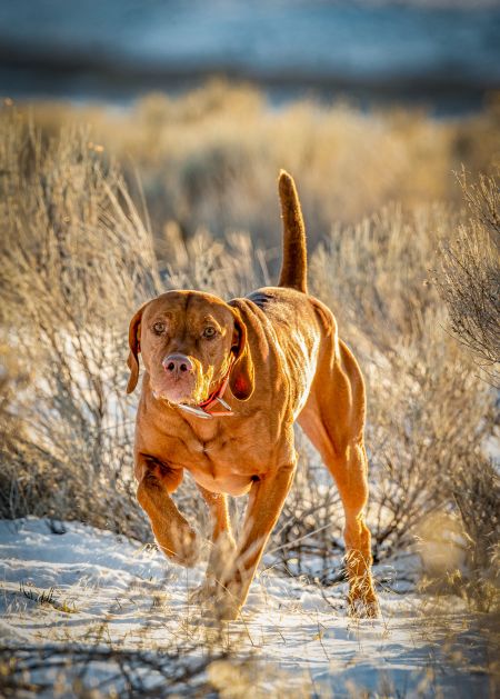 Image of Alpine River's Beginning Of A Beautiful Friendship