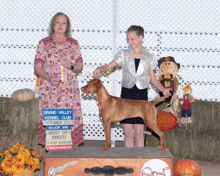 Image of Everlong's Pacific Pelham Blue Learn To Fly