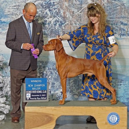 Image of Rhapsody Bohemian Monster