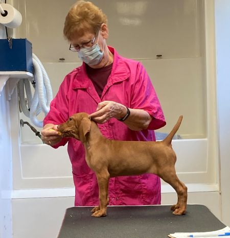 Image of Jaybren's August Red Rising In Memphis By Tierah