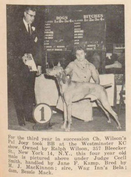 Image of Wilson's Pal Joey