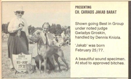 Image of Cariad's Jakab Barat