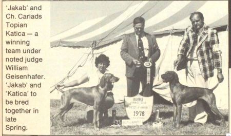 Image of Cariad's Jakab Barat