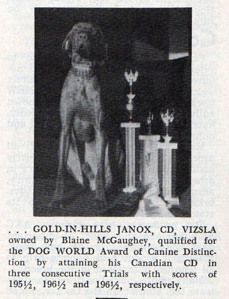 Image of Gold-In-Hills Janos