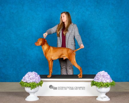 Image of Ck All Up Honor