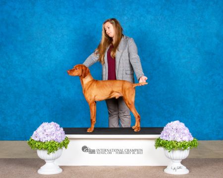 Image of Russet River Heart Of A Hunter