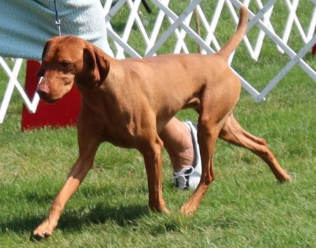 Image of Kindred Spirit Sterling M Archer Hwy2 Danger Zone