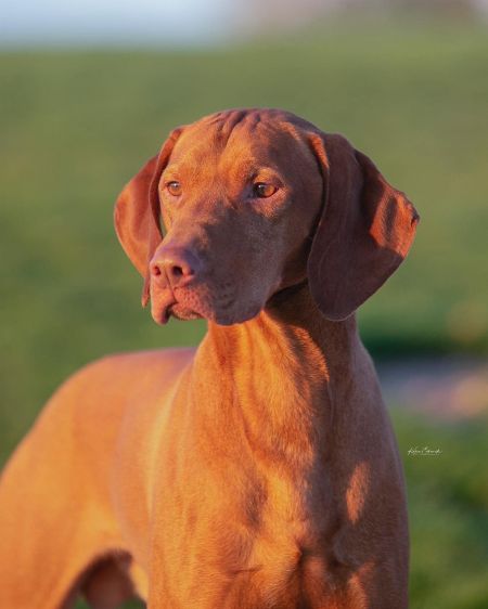 Image of Kindred Spirit Sterling M Archer Hwy2 Danger Zone