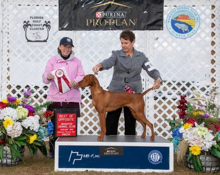 Image of Trublu Anything You Say