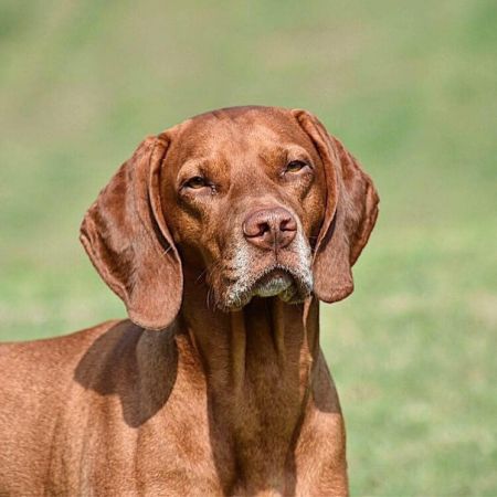 Image of Szizlin Smith & Wesson's Make My Day