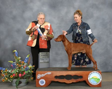 Image of Salt Creek Dawn Sweep Banzai