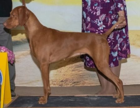 Image of Storm Winds Kiss Me Sugar One More Time