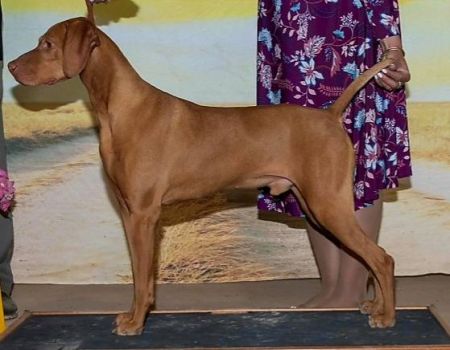 Image of Mira N' Storm Winds Pale Moon Rises