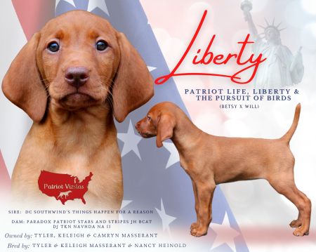 Image of Patriot Life Liberty & The Pursuit Of Birds *