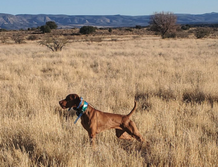 Image of Vista Make It Burn