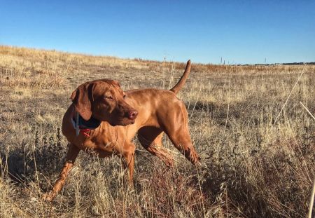 Image of Mudbone Firestorms Laws of Motion