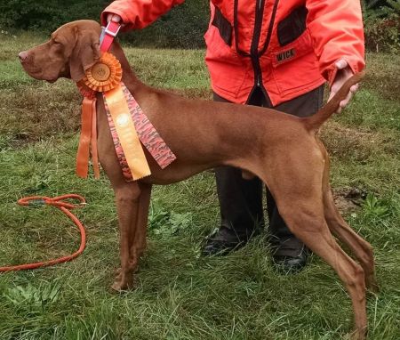 Image of Deep End's Jacks R Wild