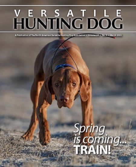 Image of Regal Point Amazing Skye At Salt Creek