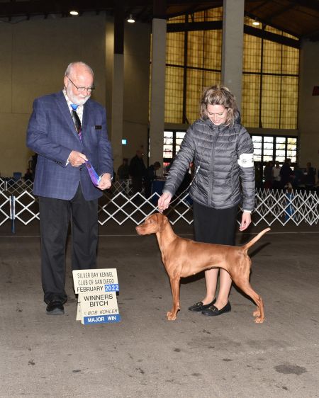 Image of Regal Point Amazing Skye At Salt Creek