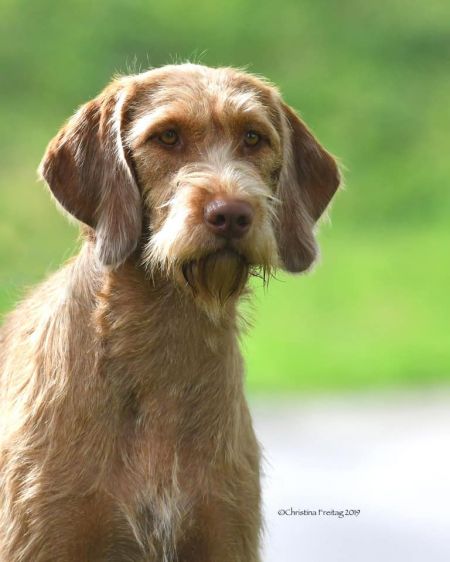 Image of Loroka's Annie Get Your Guns