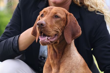 Image of Philandros Freia