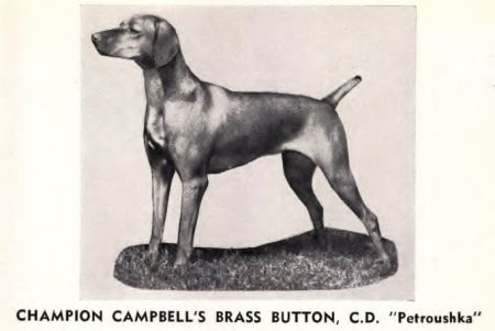 Image of Campbell's Brass Button