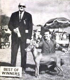 Image of Karratz' Amber Edition