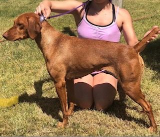 Image of Kick Em Up PM Jailbreak