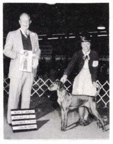 Image of Coffee's Tijuana Moonshine