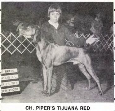 Image of Piper's Tijuana Red