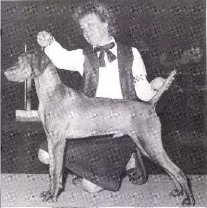 Image of Polar Kaps Max Hazard