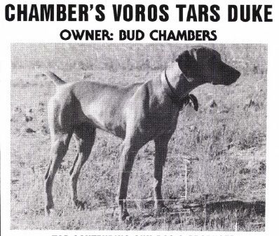 Image of Chambers Voros Tars Duke