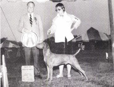 Image of Sasco's Melto Mariner