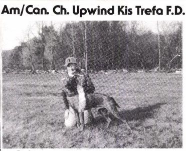 Image of Upwind Kis Trefa