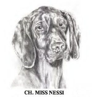 Image of Miss Nessi