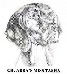 Image of Arra's Miss Tasha