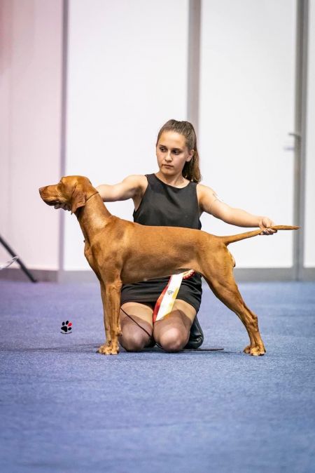 Image of Ambravittoriya Unreal Dream